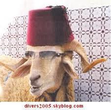 :	images  ق.jpeg
: 898
:	10.9 