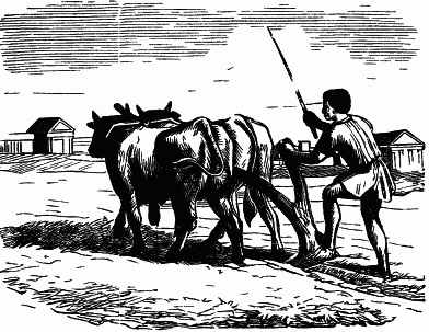:	illus090.jpg
: 425
:	71.5 