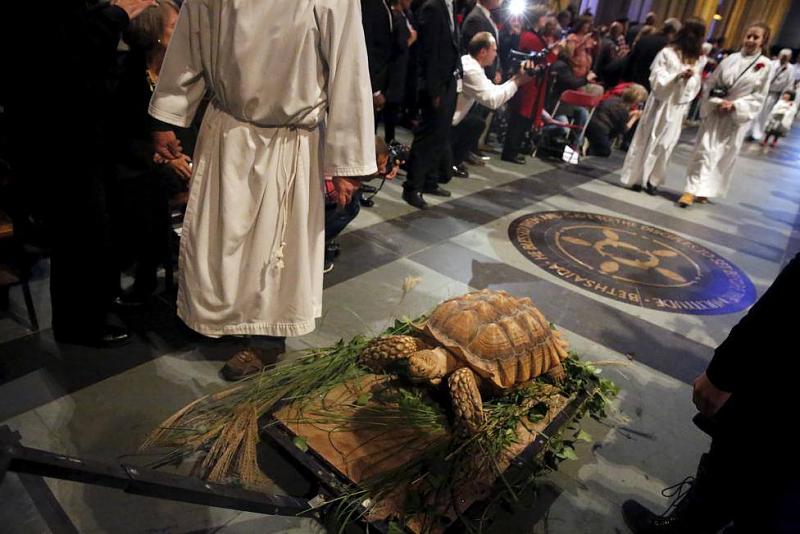 ���� ��� ������ ���� ����.&nbsp;

�����:	12068964_10153186855672666_5267371394501296343_o.jpg&nbsp;
�������:	241&nbsp;
�����:	80.8 ��������&nbsp;
������:	14895