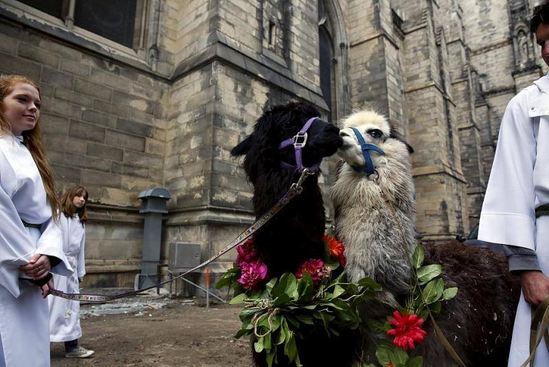 ���� ��� ������ ���� ����.&nbsp;

�����:	12079831_10153186855902666_7422449666748431320_o.jpg&nbsp;
�������:	284&nbsp;
�����:	101.7 ��������&nbsp;
������:	14896