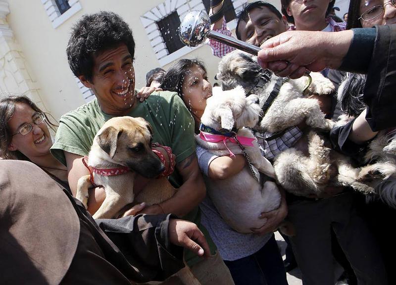 ���� ��� ������ ���� ����.&nbsp;

�����:	12091281_10153186856277666_8873848619614992811_o.jpg&nbsp;
�������:	163&nbsp;
�����:	108.4 ��������&nbsp;
������:	14901