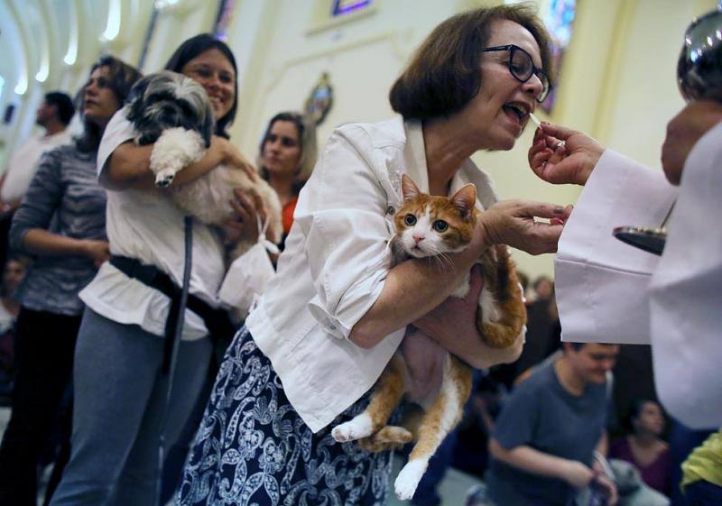 ���� ��� ������ ���� ����.&nbsp;

�����:	12095090_10153186855617666_7140544673995069705_o.jpg&nbsp;
�������:	147&nbsp;
�����:	75.1 ��������&nbsp;
������:	14902