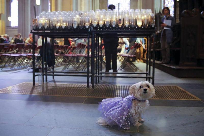 ���� ��� ������ ���� ����.&nbsp;

�����:	12120012_10153186855257666_1603697789089542314_o.jpg&nbsp;
�������:	205&nbsp;
�����:	73.9 ��������&nbsp;
������:	14903