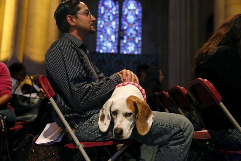 ���� ��� ������ ���� ����.&nbsp;

�����:	12120058_10153186855697666_2864778351297739163_o.jpg&nbsp;
�������:	155&nbsp;
�����:	71.5 ��������&nbsp;
������:	14904