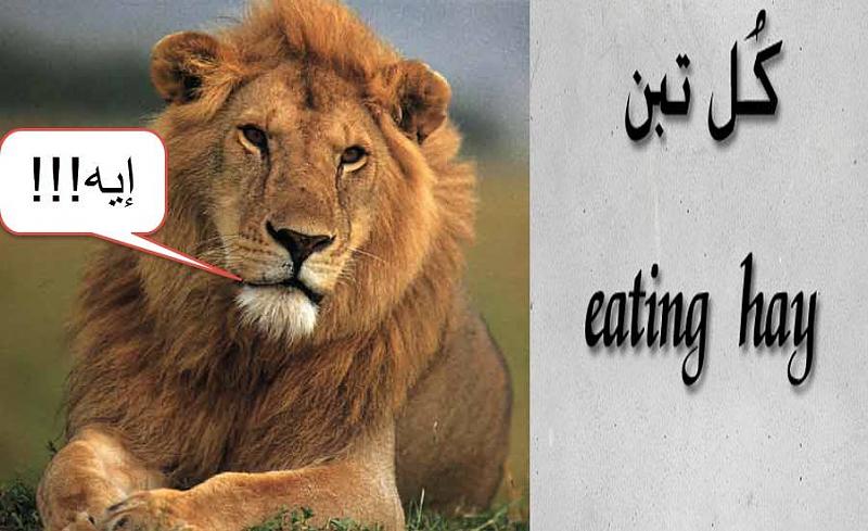     . 

:	lion.jpg 
:	626 
:	52.0  
:	15661