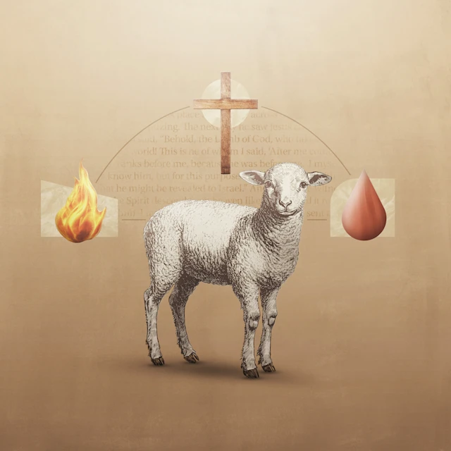 اضغط على الصورة لعرض أكبر. 

الإسم:	image.png 
مشاهدات:	2 
الحجم:	296.7 كيلوبايت 
الهوية:	828153