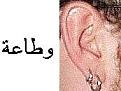 اضغط على الصورة لعرض أكبر.&nbsp;

الإسم:	185px-Ear_with_earrings.jpg&nbsp;
مشاهدات:	1075&nbsp;
الحجم:	5.9 كيلوبايت&nbsp;
الهوية:	767778