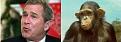 اضغط على الصورة لعرض أكبر.&nbsp;

الإسم:	chimp04[1].jpg&nbsp;
مشاهدات:	236&nbsp;
الحجم:	10.2 كيلوبايت&nbsp;
الهوية:	767945