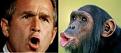 اضغط على الصورة لعرض أكبر.&nbsp;

الإسم:	chimp06[1].jpg&nbsp;
مشاهدات:	202&nbsp;
الحجم:	12.6 كيلوبايت&nbsp;
الهوية:	767946