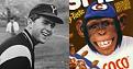 اضغط على الصورة لعرض أكبر.&nbsp;

الإسم:	chimp07[1].jpg&nbsp;
مشاهدات:	620&nbsp;
الحجم:	16.6 كيلوبايت&nbsp;
الهوية:	767947