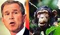 اضغط على الصورة لعرض أكبر.&nbsp;

الإسم:	chimp09[1].jpg&nbsp;
مشاهدات:	201&nbsp;
الحجم:	15.3 كيلوبايت&nbsp;
الهوية:	767948