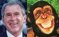 اضغط على الصورة لعرض أكبر.&nbsp;

الإسم:	chimp15[1].jpg&nbsp;
مشاهدات:	242&nbsp;
الحجم:	14.2 كيلوبايت&nbsp;
الهوية:	767951