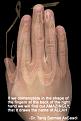 اضغط على الصورة لعرض أكبر.&nbsp;

الإسم:	allahinhand.jpg&nbsp;
مشاهدات:	1223&nbsp;
الحجم:	95.6 كيلوبايت&nbsp;
الهوية:	767977