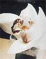 اضغط على الصورة لعرض أكبر.&nbsp;

الإسم:	Name_of_Allah_on_a_flower.jpg&nbsp;
مشاهدات:	1216&nbsp;
الحجم:	159.5 كيلوبايت&nbsp;
الهوية:	768018
