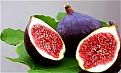 اضغط على الصورة لعرض أكبر.&nbsp;

الإسم:	ej_11_tin.jpg&nbsp;
مشاهدات:	1912&nbsp;
الحجم:	14.2 كيلوبايت&nbsp;
الهوية:	768119