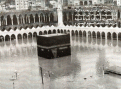اضغط على الصورة لعرض أكبر.&nbsp;

الإسم:	w6w2005041508492535982407c1wz.gif&nbsp;
مشاهدات:	4782&nbsp;
الحجم:	333.4 كيلوبايت&nbsp;
الهوية:	768304