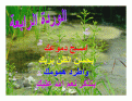 اضغط على الصورة لعرض أكبر.&nbsp;

الإسم:	floer 4.gif&nbsp;
مشاهدات:	195&nbsp;
الحجم:	86.7 كيلوبايت&nbsp;
الهوية:	768383