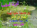اضغط على الصورة لعرض أكبر.&nbsp;

الإسم:	flower 6.jpg&nbsp;
مشاهدات:	214&nbsp;
الحجم:	41.5 كيلوبايت&nbsp;
الهوية:	768385