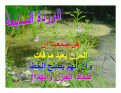 اضغط على الصورة لعرض أكبر.&nbsp;

الإسم:	flower 7.gif&nbsp;
مشاهدات:	181&nbsp;
الحجم:	86.9 كيلوبايت&nbsp;
الهوية:	768386