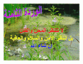 اضغط على الصورة لعرض أكبر.&nbsp;

الإسم:	flower 8.gif&nbsp;
مشاهدات:	197&nbsp;
الحجم:	87.4 كيلوبايت&nbsp;
الهوية:	768387