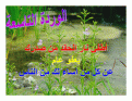 اضغط على الصورة لعرض أكبر.&nbsp;

الإسم:	flower 9.gif&nbsp;
مشاهدات:	197&nbsp;
الحجم:	86.5 كيلوبايت&nbsp;
الهوية:	768388
