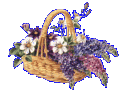 اضغط على الصورة لعرض أكبر.&nbsp;

الإسم:	anyaflower64.gif&nbsp;
مشاهدات:	74&nbsp;
الحجم:	14.7 كيلوبايت&nbsp;
الهوية:	768443