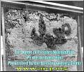 اضغط على الصورة لعرض أكبر.&nbsp;

الإسم:	aicp_org_bees-1.jpg&nbsp;
مشاهدات:	2301&nbsp;
الحجم:	108.1 كيلوبايت&nbsp;
الهوية:	768570