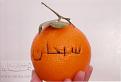 اضغط على الصورة لعرض أكبر.&nbsp;

الإسم:	Orange_thompson_de_Tunisie.jpg&nbsp;
مشاهدات:	3292&nbsp;
الحجم:	151.2 كيلوبايت&nbsp;
الهوية:	768735