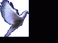 اضغط على الصورة لعرض أكبر.&nbsp;

الإسم:	شمال يمين.gif&nbsp;
مشاهدات:	4688&nbsp;
الحجم:	36.3 كيلوبايت&nbsp;
الهوية:	768766