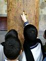 اضغط على الصورة لعرض أكبر.&nbsp;

الإسم:	December_17_2004_Cross_Sign_at_the_Nativity_Church_Photo_by_Nayef_Hashlamoun.jpg&nbsp;
مشاهدات:	2590&nbsp;
الحجم:	52.7 كيلوبايت&nbsp;
الهوية:	769674