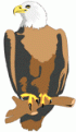 اضغط على الصورة لعرض أكبر.&nbsp;

الإسم:	eagle1.gif&nbsp;
مشاهدات:	4186&nbsp;
الحجم:	6.0 كيلوبايت&nbsp;
الهوية:	771793