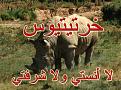اضغط على الصورة لعرض أكبر.&nbsp;

الإسم:	ansti.jpg&nbsp;
مشاهدات:	1840&nbsp;
الحجم:	58.8 كيلوبايت&nbsp;
الهوية:	771809