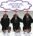 اضغط على الصورة لعرض أكبر.&nbsp;

الإسم:	monkeys0.jpg&nbsp;
مشاهدات:	11972&nbsp;
الحجم:	58.8 كيلوبايت&nbsp;
الهوية:	771907