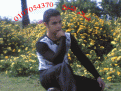 اضغط على الصورة لعرض أكبر.&nbsp;

الإسم:	Image(030) copy.gif&nbsp;
مشاهدات:	219&nbsp;
الحجم:	204.3 كيلوبايت&nbsp;
الهوية:	772209