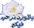 اضغط على الصورة لعرض أكبر.&nbsp;

الإسم:	10249[1].gif&nbsp;
مشاهدات:	75&nbsp;
الحجم:	48.3 كيلوبايت&nbsp;
الهوية:	772310