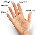 اضغط على الصورة لعرض أكبر.&nbsp;

الإسم:	image005.jpg&nbsp;
مشاهدات:	135&nbsp;
الحجم:	21.5 كيلوبايت&nbsp;
الهوية:	772568