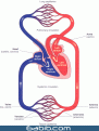 اضغط على الصورة لعرض أكبر.&nbsp;

الإسم:	image021.gif&nbsp;
مشاهدات:	553&nbsp;
الحجم:	76.3 كيلوبايت&nbsp;
الهوية:	772733