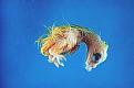 اضغط على الصورة لعرض أكبر.&nbsp;

الإسم:	6.jpg&nbsp;
مشاهدات:	285&nbsp;
الحجم:	6.9 كيلوبايت&nbsp;
الهوية:	772924