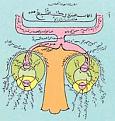 اضغط على الصورة لعرض أكبر.&nbsp;

الإسم:	getimage(16).jpg&nbsp;
مشاهدات:	1496&nbsp;
الحجم:	11.1 كيلوبايت&nbsp;
الهوية:	777049