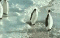 اضغط على الصورة لعرض أكبر.&nbsp;

الإسم:	5.gif&nbsp;
مشاهدات:	394&nbsp;
الحجم:	444.0 كيلوبايت&nbsp;
الهوية:	781998