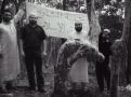 اضغط على الصورة لعرض أكبر.&nbsp;

الإسم:	BowingTree.gif&nbsp;
مشاهدات:	1314&nbsp;
الحجم:	75.4 كيلوبايت&nbsp;
الهوية:	782064