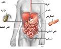 اضغط على الصورة لعرض أكبر.&nbsp;

الإسم:	clip_image001.jpg&nbsp;
مشاهدات:	7342&nbsp;
الحجم:	18.0 كيلوبايت&nbsp;
الهوية:	782071