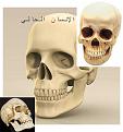 اضغط على الصورة لعرض أكبر.&nbsp;

الإسم:	new.jpg&nbsp;
مشاهدات:	12298&nbsp;
الحجم:	16.6 كيلوبايت&nbsp;
الهوية:	782074