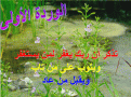 اضغط على الصورة لعرض أكبر.&nbsp;

الإسم:	flower 1.gif&nbsp;
مشاهدات:	220&nbsp;
الحجم:	96.9 كيلوبايت&nbsp;
الهوية:	782317