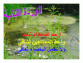 اضغط على الصورة لعرض أكبر.&nbsp;

الإسم:	flower 2.gif&nbsp;
مشاهدات:	203&nbsp;
الحجم:	86.0 كيلوبايت&nbsp;
الهوية:	782318