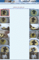 اضغط على الصورة لعرض أكبر.&nbsp;

الإسم:	Coco Cross.gif&nbsp;
مشاهدات:	28827&nbsp;
الحجم:	196.4 كيلوبايت&nbsp;
الهوية:	783089