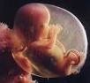 اضغط على الصورة لعرض أكبر.&nbsp;

الإسم:	جنبن.jpg&nbsp;
مشاهدات:	207&nbsp;
الحجم:	2.2 كيلوبايت&nbsp;
الهوية:	784554