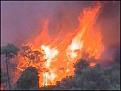 اضغط على الصورة لعرض أكبر.&nbsp;

الإسم:	101202160043_israelfire226.jpg&nbsp;
مشاهدات:	359&nbsp;
الحجم:	12.2 كيلوبايت&nbsp;
الهوية:	784881