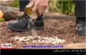 اضغط على الصورة لعرض أكبر.&nbsp;

الإسم:	5.png&nbsp;
مشاهدات:	296&nbsp;
الحجم:	361.0 كيلوبايت&nbsp;
الهوية:	785339