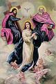 اضغط على الصورة لعرض أكبر.&nbsp;

الإسم:	Immaculate Conception.jpg&nbsp;
مشاهدات:	2168&nbsp;
الحجم:	58.7 كيلوبايت&nbsp;
الهوية:	786281